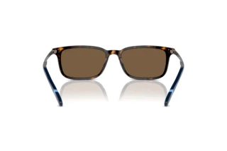 Vue arrière Polo PH4212 (500373)