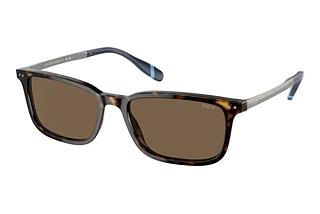 Polo PH4212 500373 BrownShiny Dark Havana