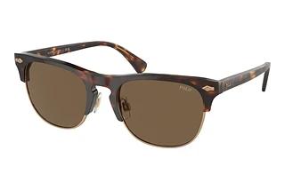 Polo PH4213 613773 BrownShiny Brown Tortoise