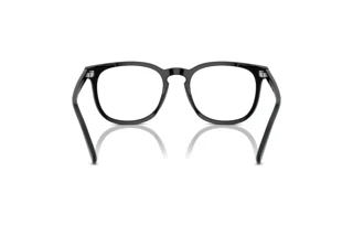 Vue arrière Polo PH4214 (500187)