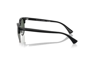 Vue latérale Polo PH4217 (500171)