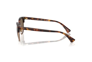 Vue latérale Polo PH4217 (613773)