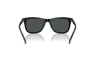 Vue arrière Polo PH4220U (500187)