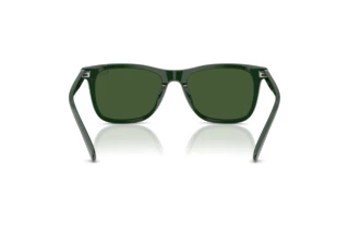 Vue arrière Polo PH4220U (614071)