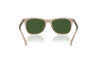 Vue arrière Polo PH4220U (620171)