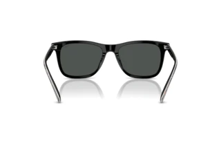 Vue arrière Polo PH4220U (620287)