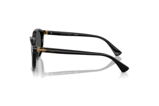 Vue latérale Polo PH4221 (500187)