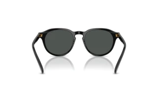 Vue arrière Polo PH4221 (500187)