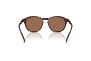 Vue arrière Polo PH4221 (613773)