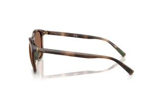 Vue latérale Polo PH4222U (597473)