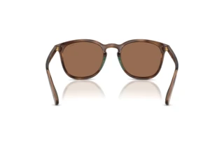 Vue arrière Polo PH4222U (597473)