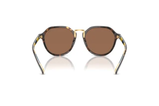 Vue arrière Polo PH4223U (500373)