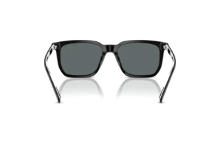 Vue arrière Polo PH4224U (500181)