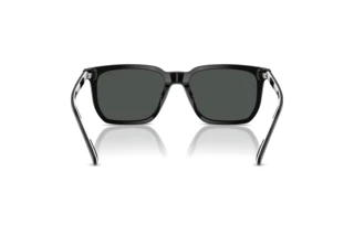 Vue arrière Polo PH4224U (500187)