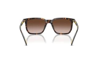 Vue arrière Polo PH4224U (500313)