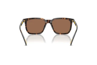 Vue arrière Polo PH4224U (500373)