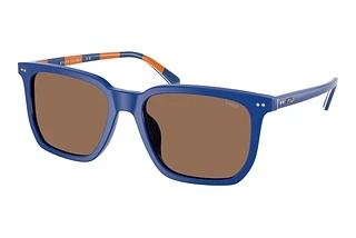 Polo PH4224U 523573 Dark BrownShiny Royal Blue