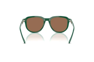 Vue arrière Polo PH4225 (542173)