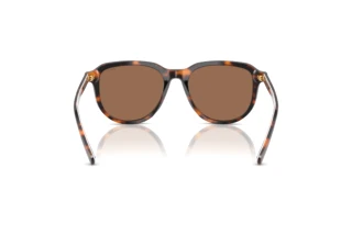 Vue arrière Polo PH4225 (613773)