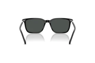 Vue arrière Polo PH4226 (500187)