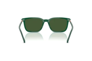 Vue arrière Polo PH4226 (542171)