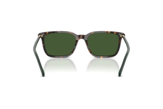 Vue arrière Polo PH4226 (567371)