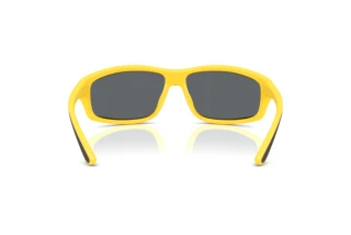 Vue arrière Polo PH4227U (51076G)