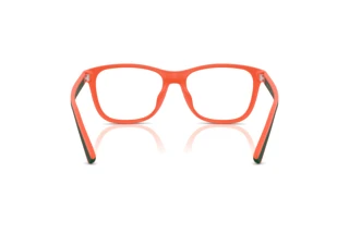 Vue arrière Polo PH4228U (546080)