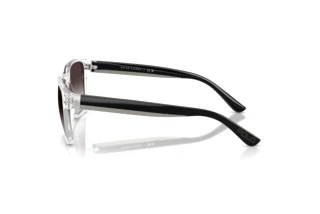 Vue latérale Polo PH4229U (58698G)