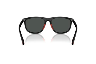 Vue arrière Polo PH4231U (550487)