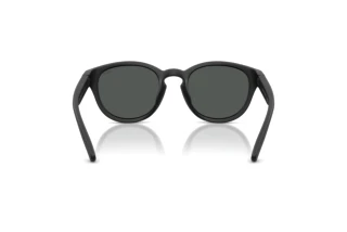 Vue arrière Polo PH4233U (550487)