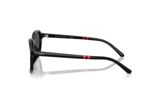 Vue latérale Polo PH4234U (500187)