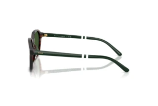 Vue latérale Polo PH4234U (631571)