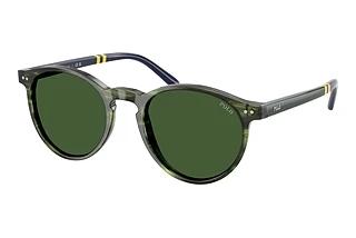 Polo PH4236 631671 Bottle GreenStriped Green Havana