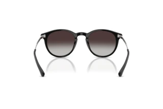 Vue arrière Polo PH4239U (50018G)