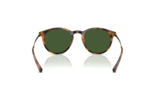 Vue arrière Polo PH4239U (500371)