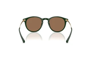 Vue arrière Polo PH4239U (614073)