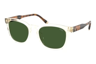 Vue de face Polo PH4242U (635771)