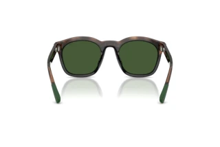 Vue arrière Polo PH4243U (607071)