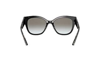 Vue arrière Prada PR 02WS (1AB0A7)