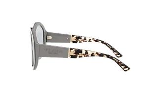 Vue latérale Prada PR 22XS (08G06D)