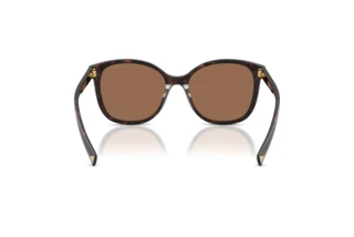 Vue arrière Prada PR 22ZS (17N06B)