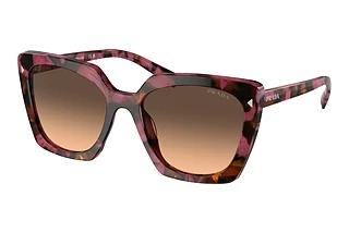Prada PR 23ZS 18N50C Brown Gradient GreyBegonia Cognac Tortoise