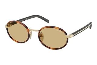Prada PR B56S 21E10R Lente Camomilla BioRoot Tortoise