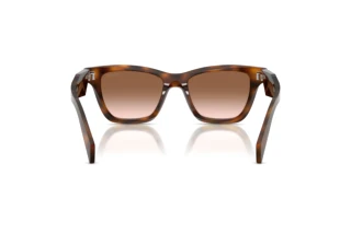 Vue arrière Prada PR C07S (20D90P)