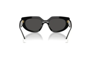 Vue arrière Prada PR D02S (20G08Z)