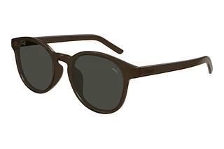 Puma PU0500SA 004 BROWN
