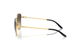 Vue latérale Ralph Lauren THE VIVIENNE (RL7079 - 90048G)