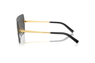 Vue latérale Ralph Lauren THE HARPER (RL7085 - 900487)