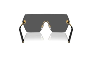 Vue arrière Ralph Lauren THE HARPER (RL7085 - 900487)